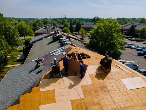 Roof Gutter Cleaning in Canaan, CT